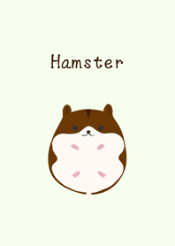 Super popular hamster baby-6