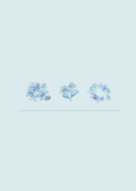 Hydrangea  with rainy season