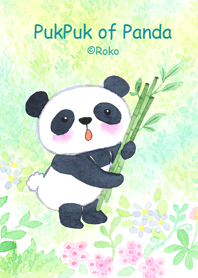 PukPuk of Panda-Revised version