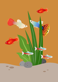 ตู้ปลาเสมือนจริง!(สีคาราเมล)