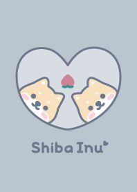 ชิบะอินุ ลูกพีช [ความหมองคล้ำสีน้ำเงิน]