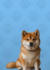 Cute Shibainu Theme Blue 05