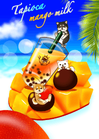 柴犬とタピオカマンゴーミルク10（夏、海）