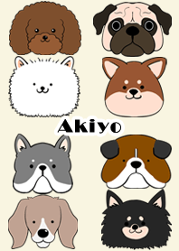 Akiyo Scandinavian dog style