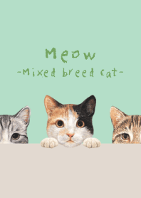 Meow - Mixed breed cat 01 - MINT GREEN