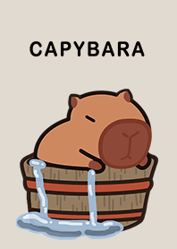 misty cat-Capybara2