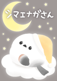 Shimaenaga-san at night
