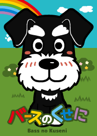 B&Sシュナウザー「バースのくせに」