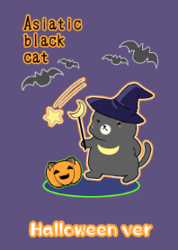 Asiatic black cat Theme Halloween2019