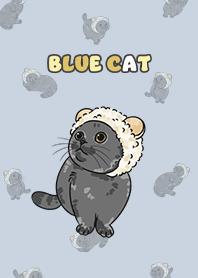 bluecat2 - light slate blue