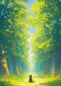 陽光燦爛的森林×貓