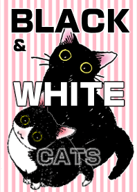 BLACK & WHITE CATS