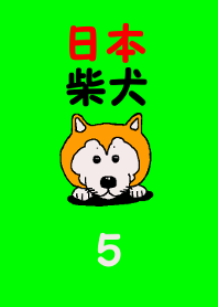 日本 柴犬 5