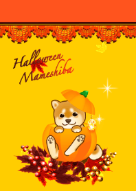 Halloween with shiba dog in autumn