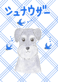 せみまりのシュナウザー着せかえ