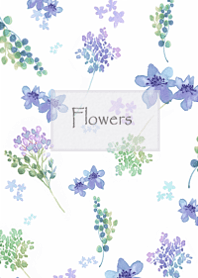 There is a transparent scent9.