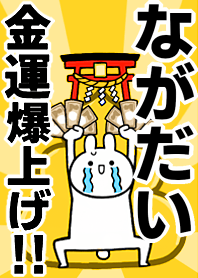 Fortune rise rabbit[Nagadai]