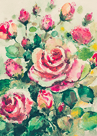 Beautiful rose flower(R4642)