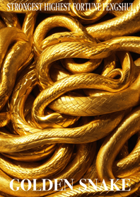 Golden snake  Lucky 91