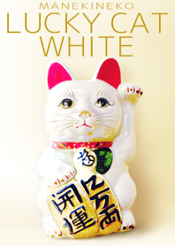 Manekineko Lucky Cat White.