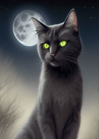 夜月の黒猫 Bw4Eu