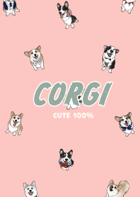 corgicorgi7 / light coral .jp