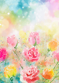 Beautiful rose flower(R5620)