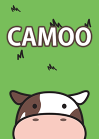 Camoo Land