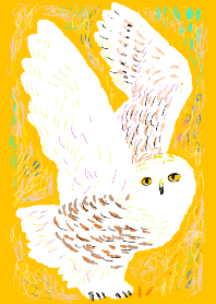 no.8 snowy owl