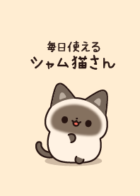 A Siamese cat that can be used everyday.