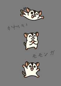 My cute sugar glider(fog gray)