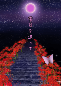 Following purple moon