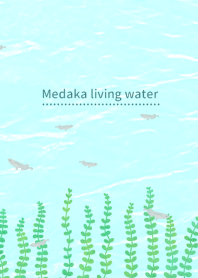 Medaka living water