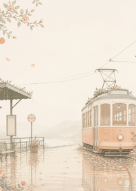 Apricot Tram Camellia Rain Station