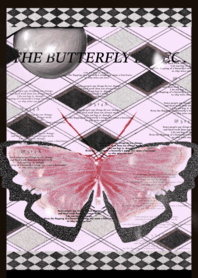 The Butterfly Effect-蝴蝶效應(NEW)