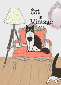 Cat in Vintage