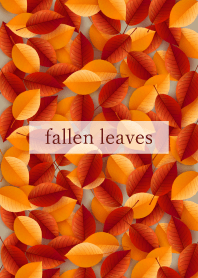 autumn fallen leaves 8