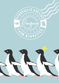 【ペンギンシリーズ１】アデリーペンギン