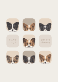 DOGS - Papillon - BEIGE GRAY