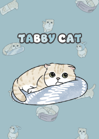 creamtabby3 / water blue .jp
