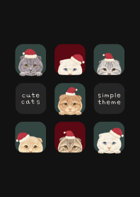 CATS - Scottish fold - CHRISTMAS