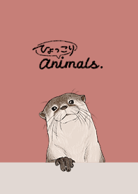 Peep animals[otter]