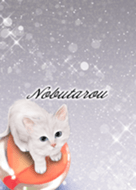 Nobutarou White cat and marbles