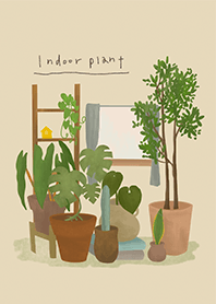 INDOOR PLANT観葉植物