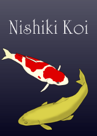 Nishiki koi.