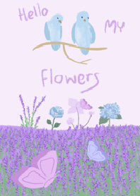 Hello my flowers