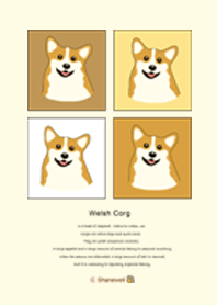 Cute Welsh Corg Daily  (yellow)