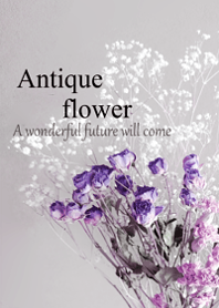 World of Antique dried flower.16