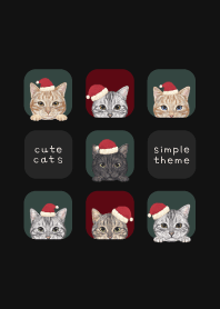 CATS - American Shorthair - CHRISTMAS