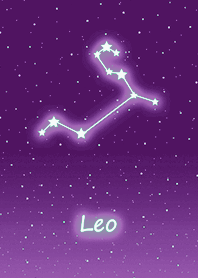 Wishing Constellation.Leo5